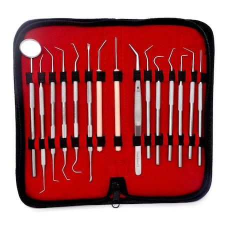 A2Z Scilab 15 Pcs Professional Dental Cleaning Stainless Steel Tools in a Case A2Z-ZR-MPS15
